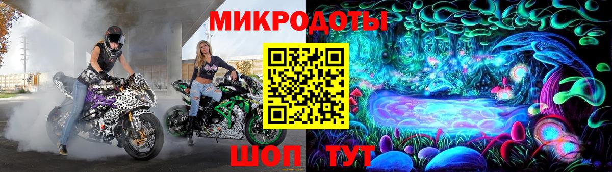 Галлюциногенные грибы Psilocybine cubensis Касимов